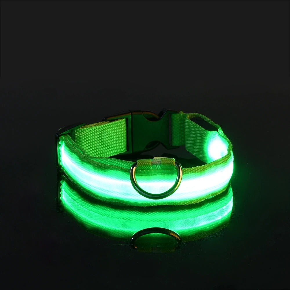 Led High Visibility Pet Collar