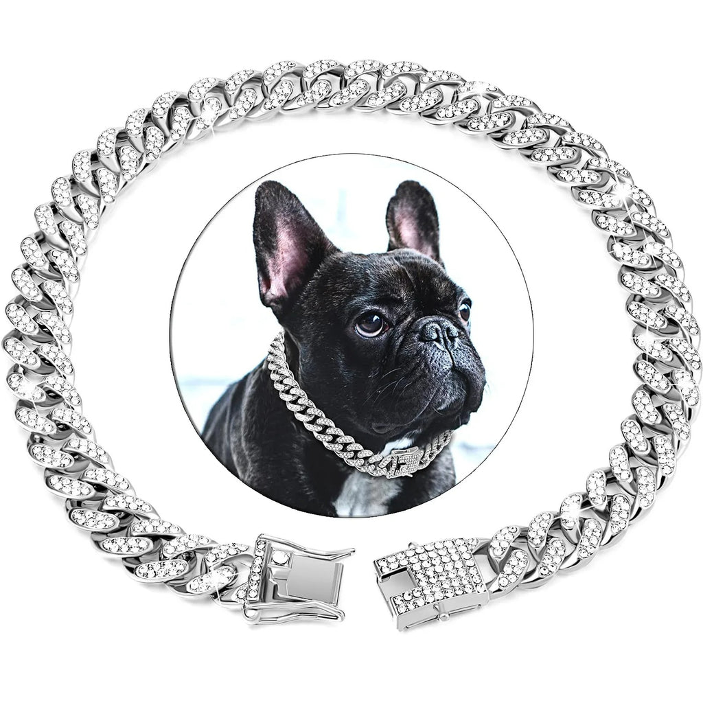 Diamond Dog Chain – Sparkling Fashion Accessory