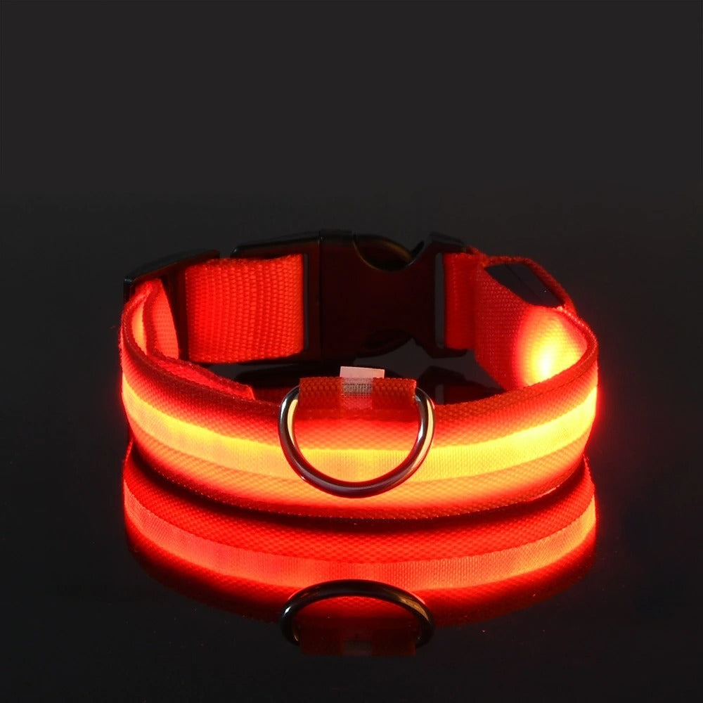 Led High Visibility Pet Collar