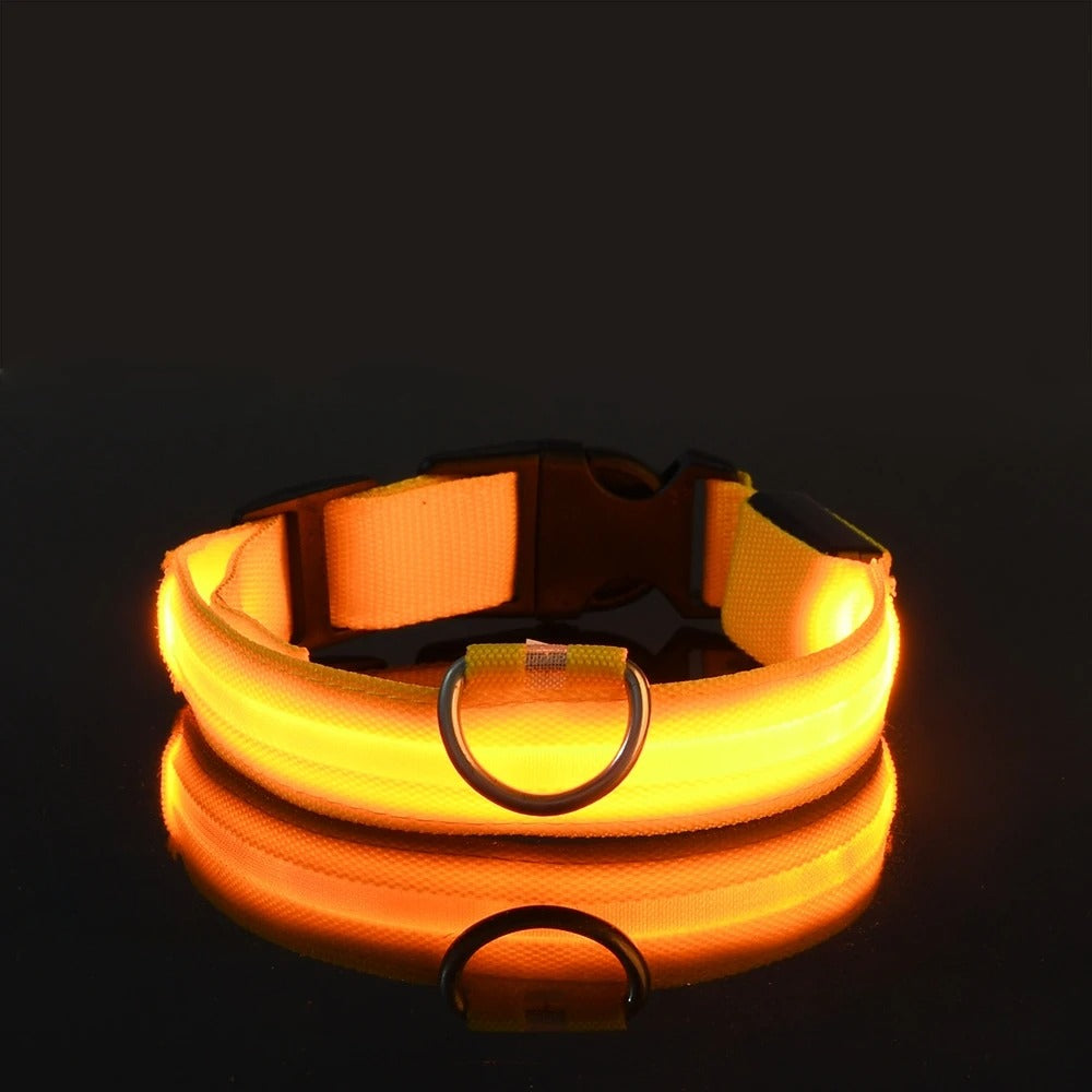 Led High Visibility Pet Collar