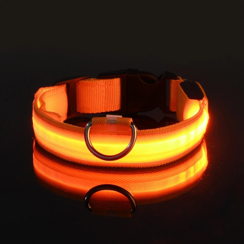 Led High Visibility Pet Collar