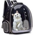 Portable Cat Carrier – Lightweight & Breathable