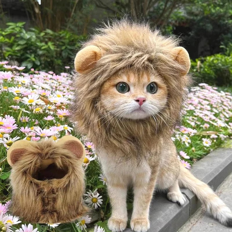 Lion Mane Cat Wig – Funny Pet Costume for Photos