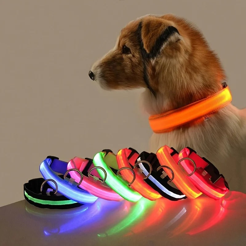 Led High Visibility Pet Collar