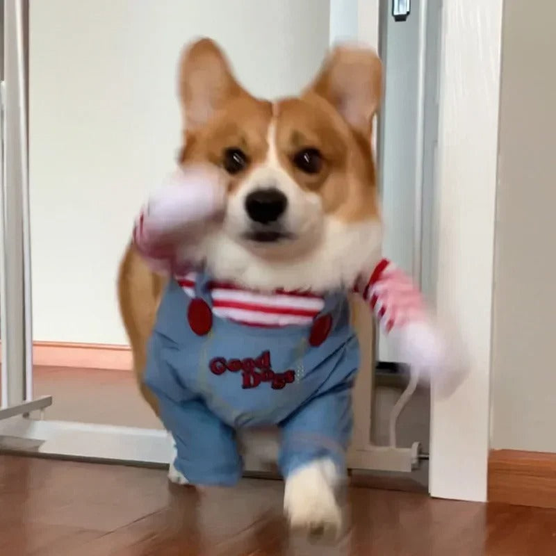 Chucky Dog Halloween Costume – Funny Pet Cosplay Outfit