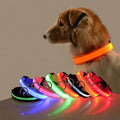 Led High Visibility Pet Collar