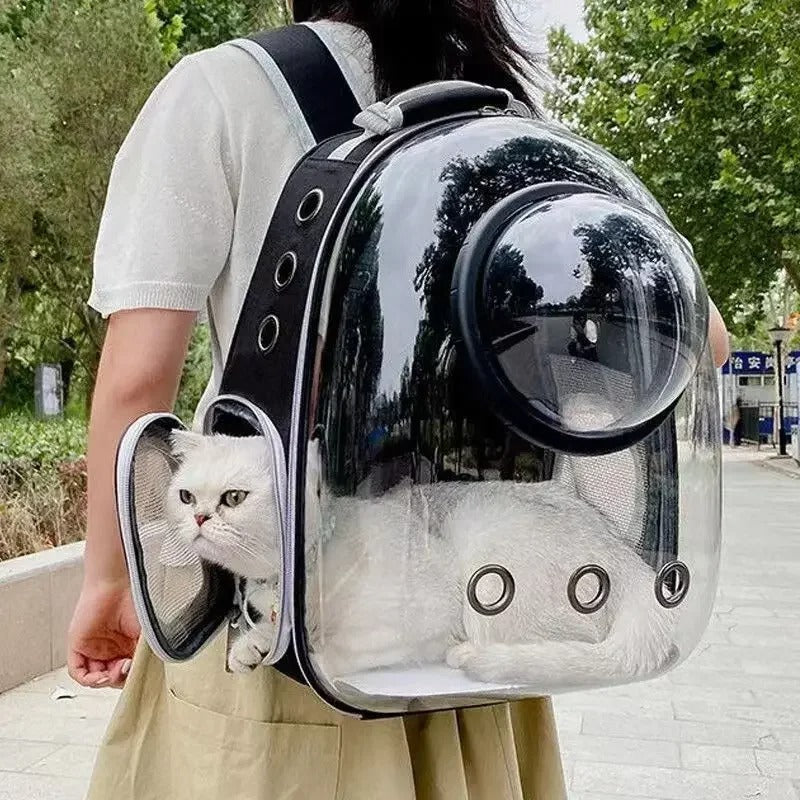 Portable Cat Carrier – Lightweight & Breathable