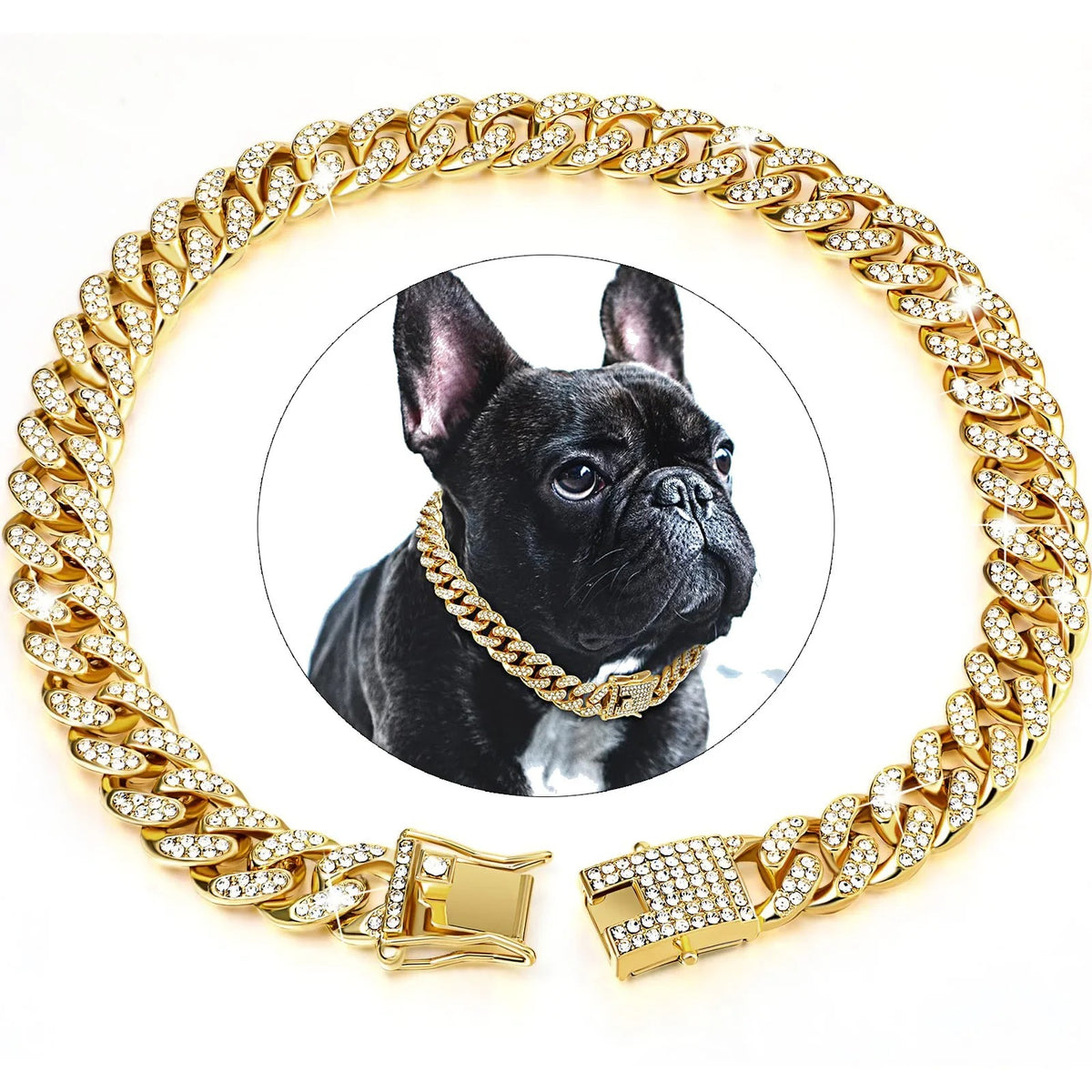 Diamond Dog Chain – Sparkling Fashion Accessory