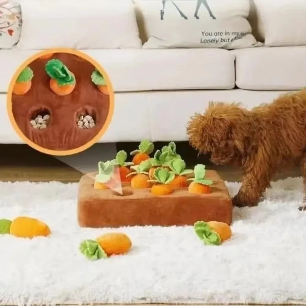Strawberry/ Carrot Snuffle Mat – Interactive Puzzle Toy with Squeaker