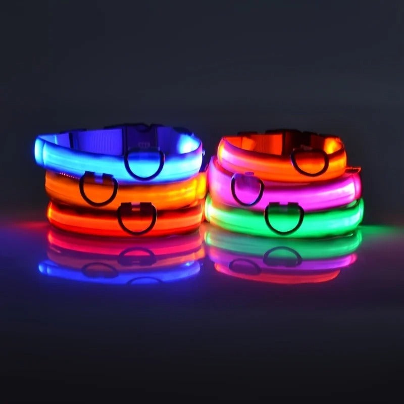 Led High Visibility Pet Collar
