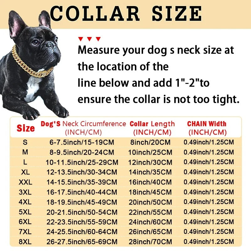 Diamond Dog Chain – Sparkling Fashion Accessory
