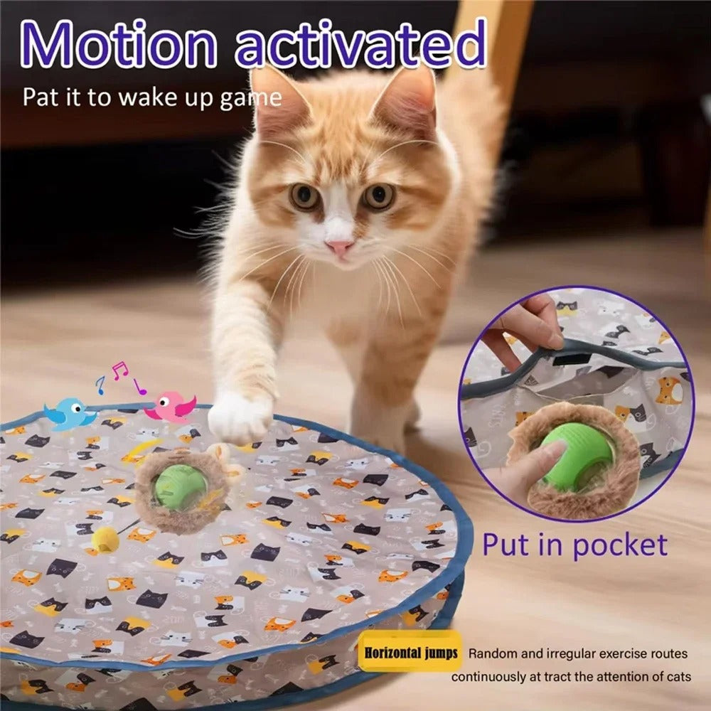 Cat Play Mat – Interactive Chase & Scratch Toy