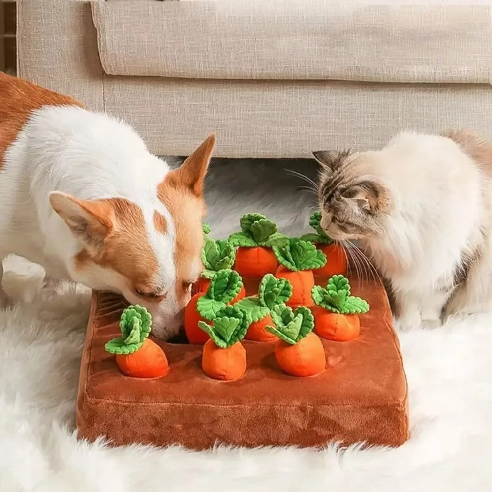 Strawberry/ Carrot Snuffle Mat – Interactive Puzzle Toy with Squeaker