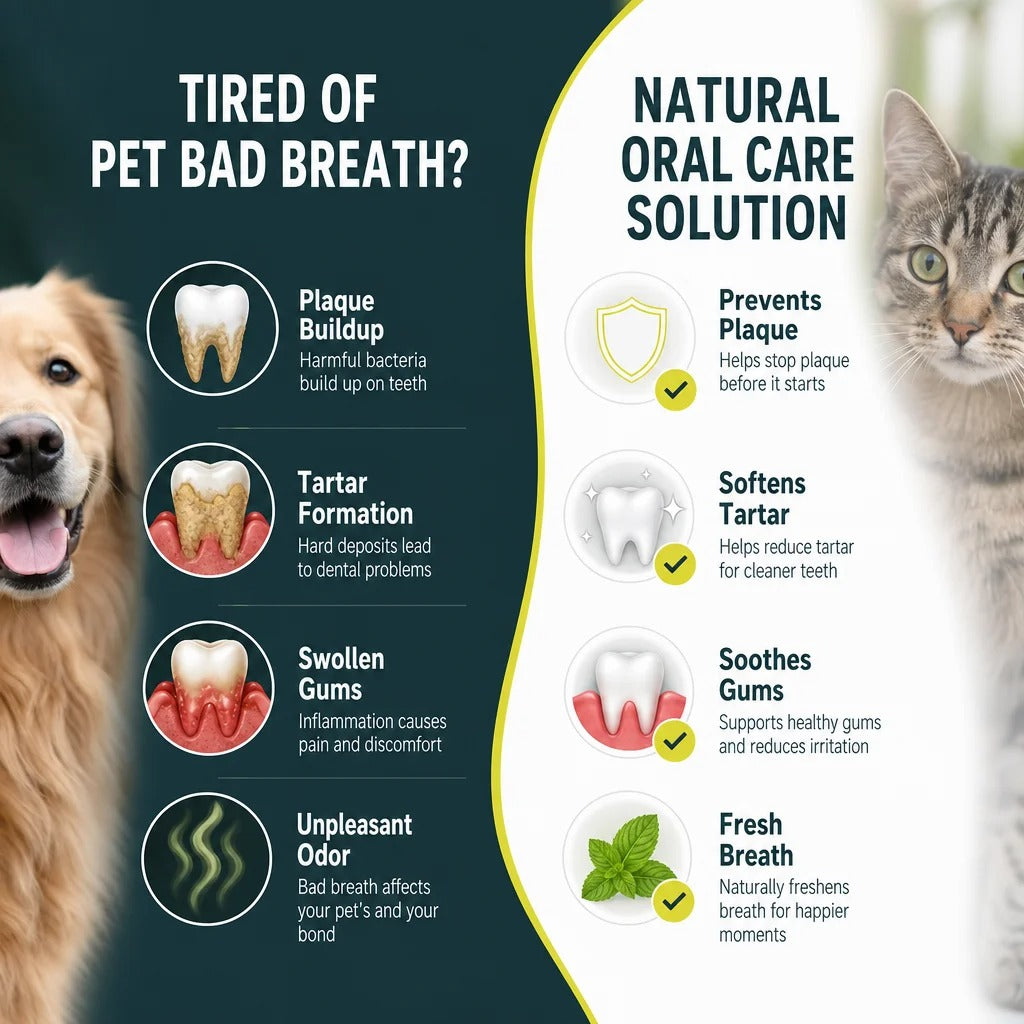 Dental Cleaning Powder