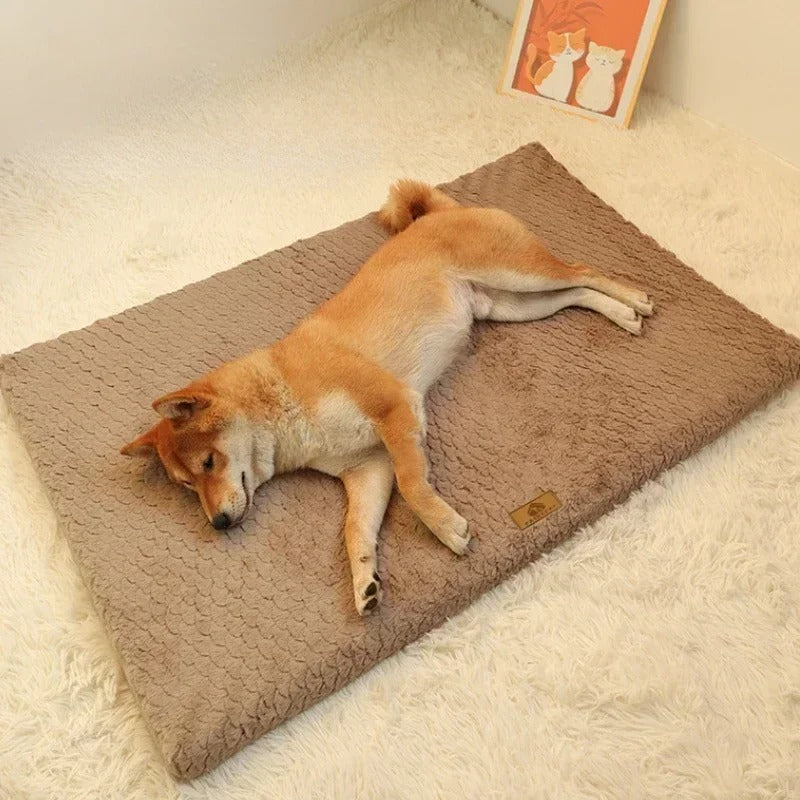 Plush Dog Bed – Ultra-Soft, Machine Washable