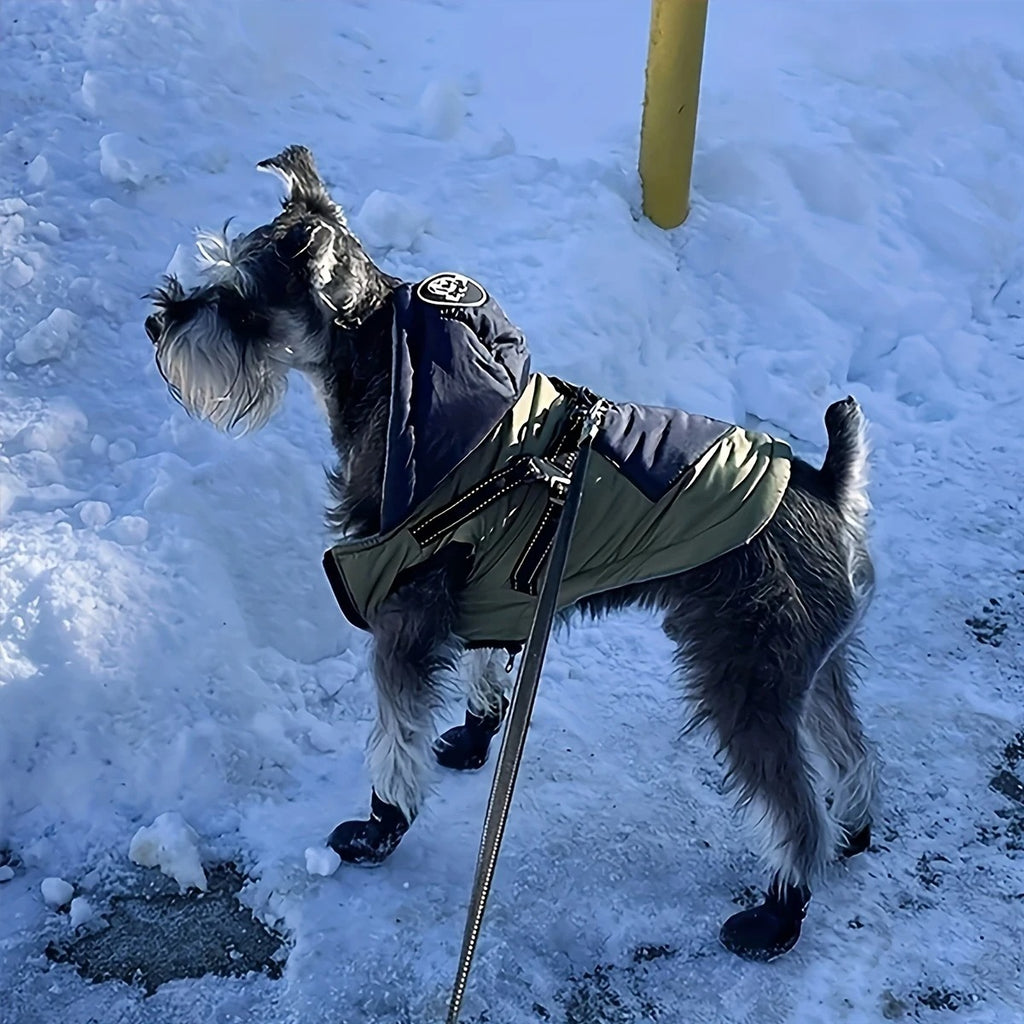 Dog Rain & Snow Boots – Waterproof & Non-Slip Paw Protection