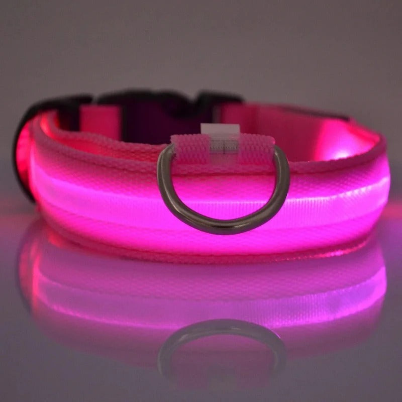Led High Visibility Pet Collar