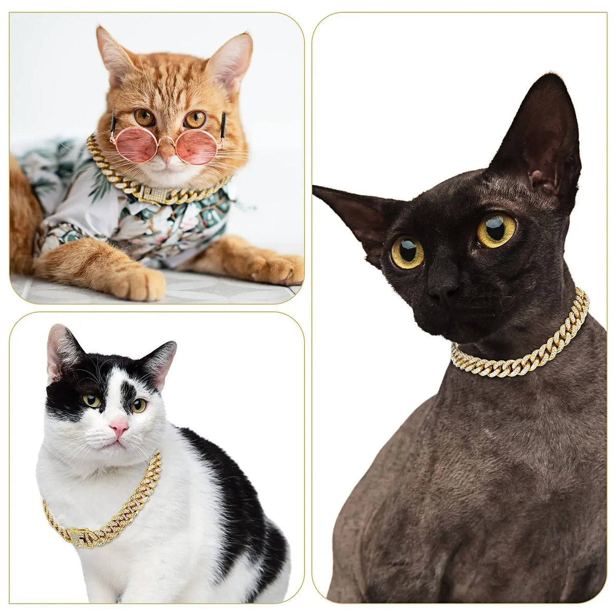 Diamond Dog Chain – Sparkling Fashion Accessory