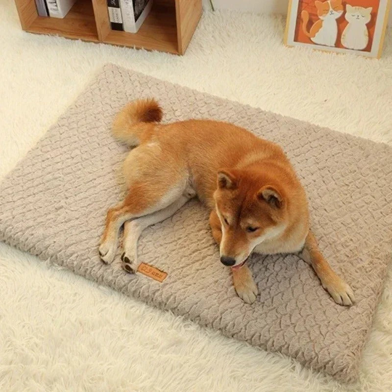 Plush Dog Bed – Ultra-Soft, Machine Washable