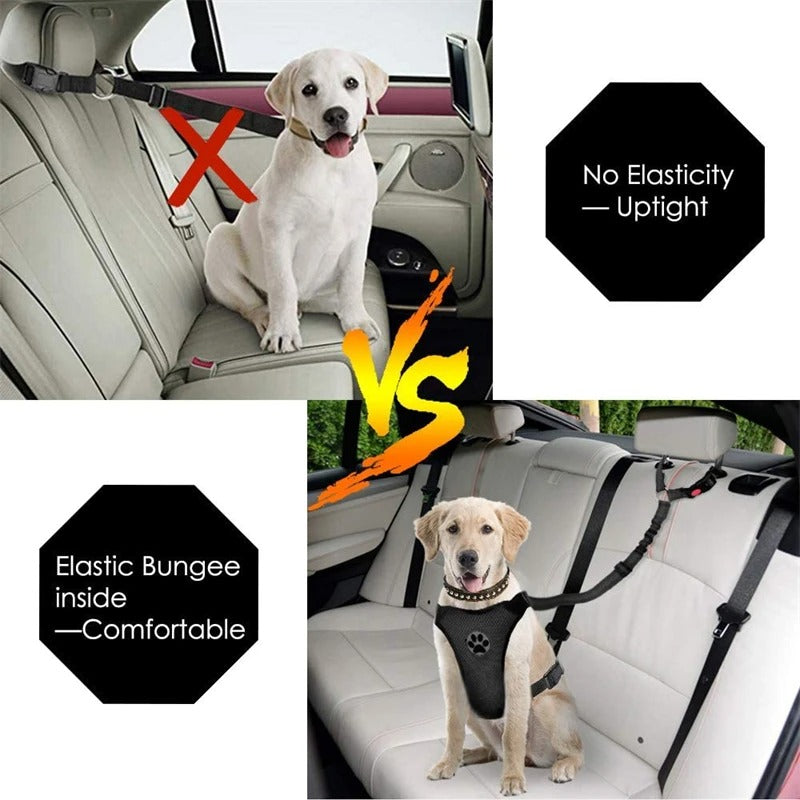 Dog Car Seat Belt – Adjustable Safety Harness Strap
