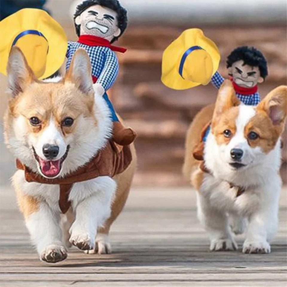 Cowboy Rider Dog Costume – Funny Halloween Pet Outfit