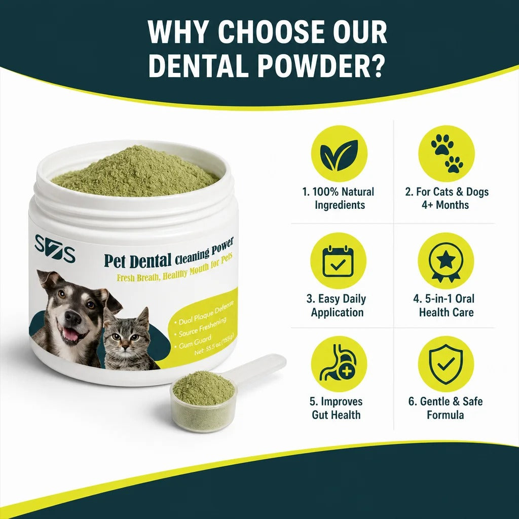 Dental Cleaning Powder