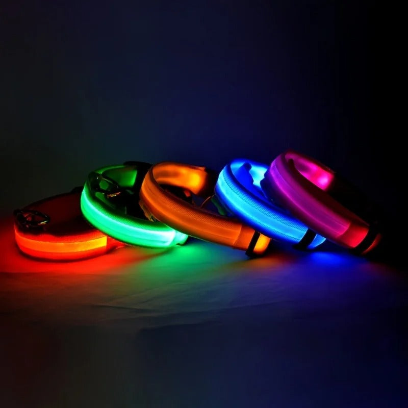 Led High Visibility Pet Collar