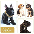 Diamond Dog Chain – Sparkling Fashion Accessory