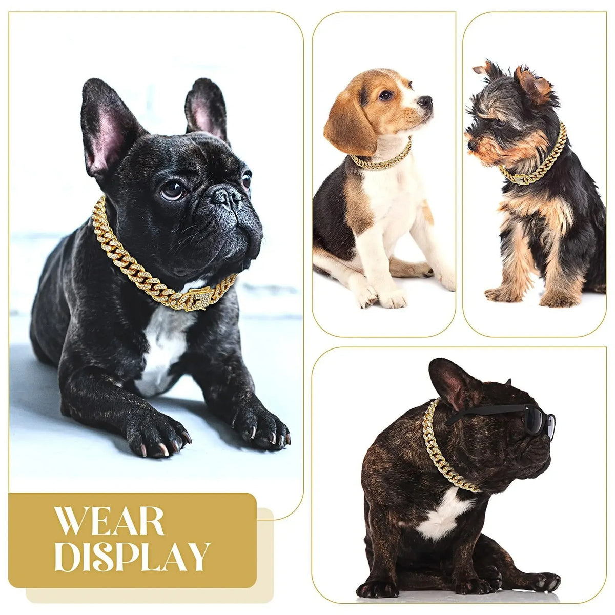 Diamond Dog Chain – Sparkling Fashion Accessory
