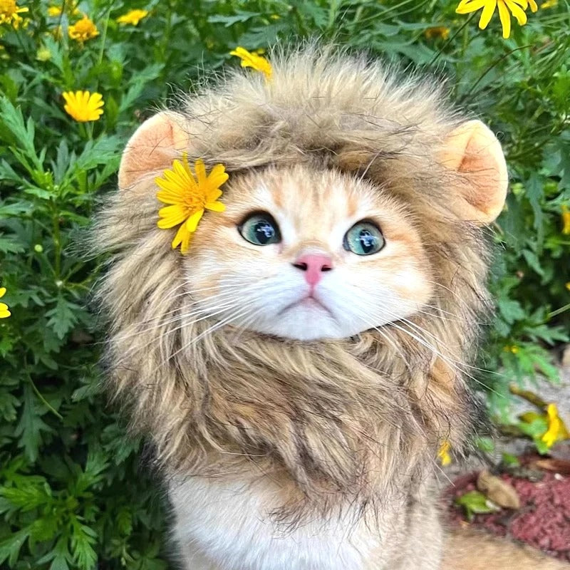 Lion Mane Cat Wig – Funny Pet Costume for Photos
