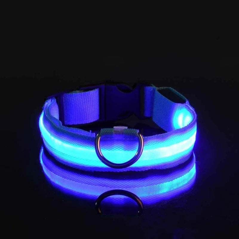 Led High Visibility Pet Collar