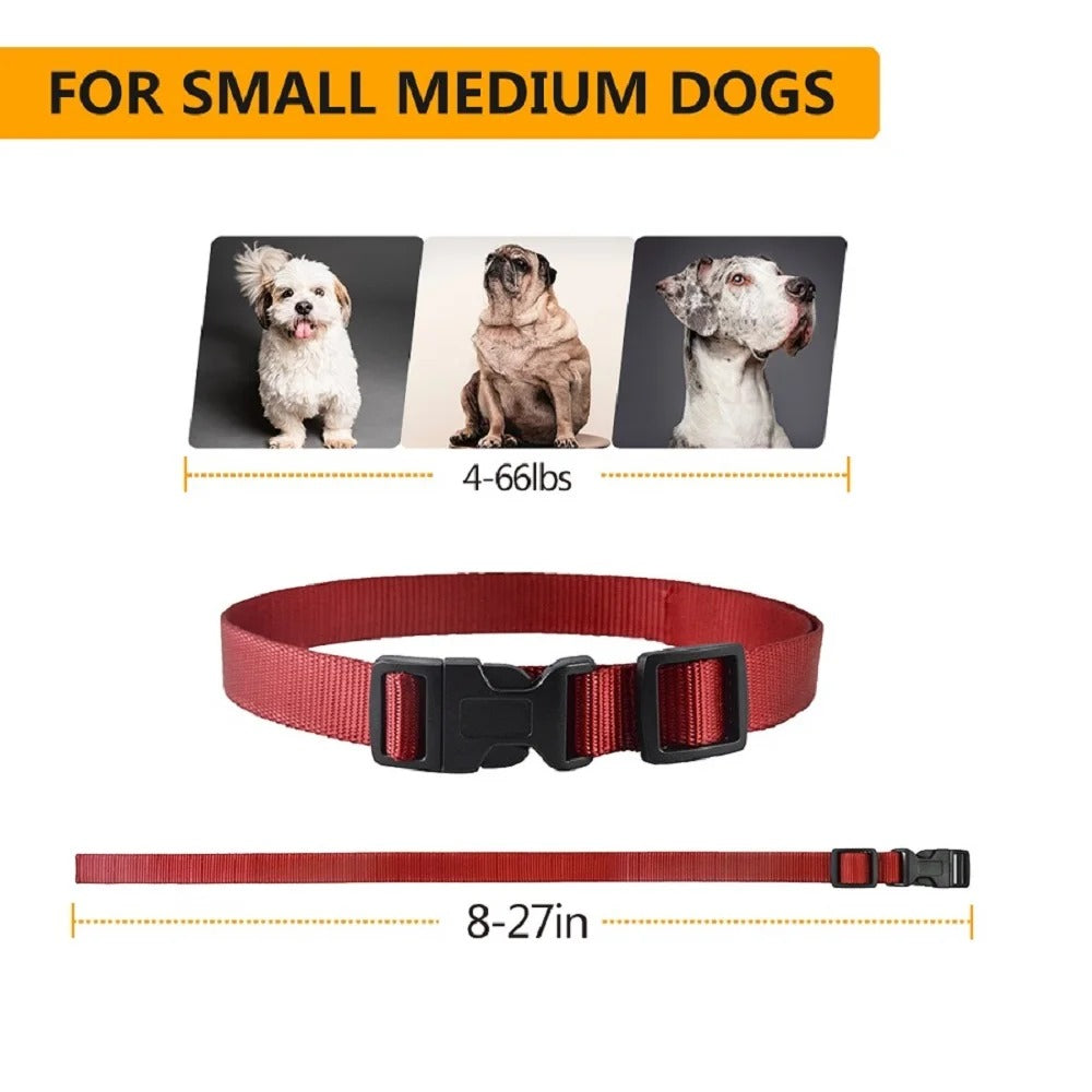 No-Shock Dog Training Collar – Beep & Vibration Remote