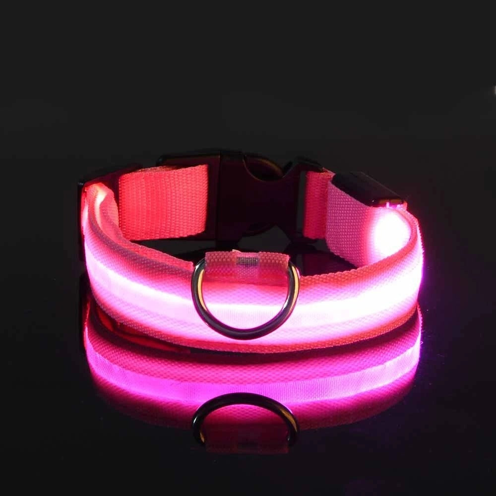 Led High Visibility Pet Collar