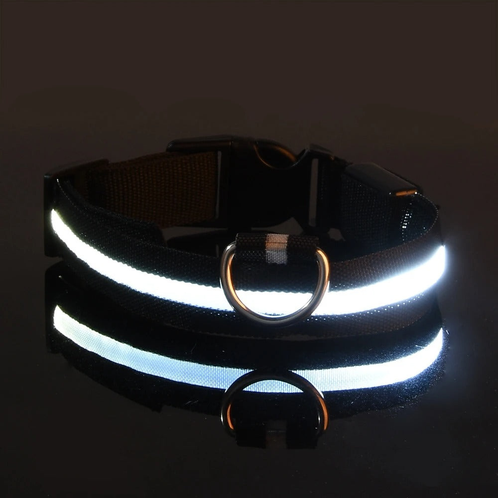 Led High Visibility Pet Collar