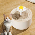 Pet Water Fountain – USB Powered, Encourages Hydration