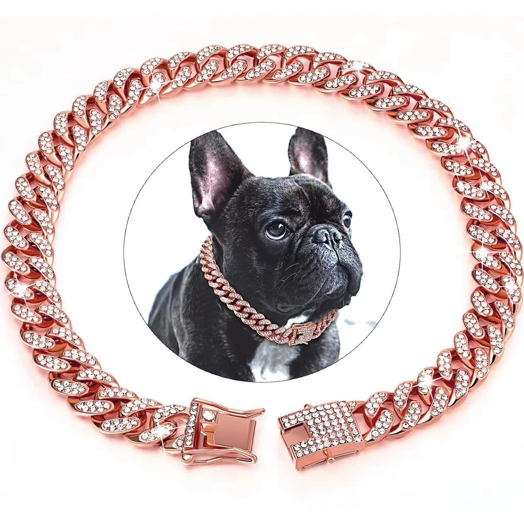 Diamond Dog Chain – Sparkling Fashion Accessory