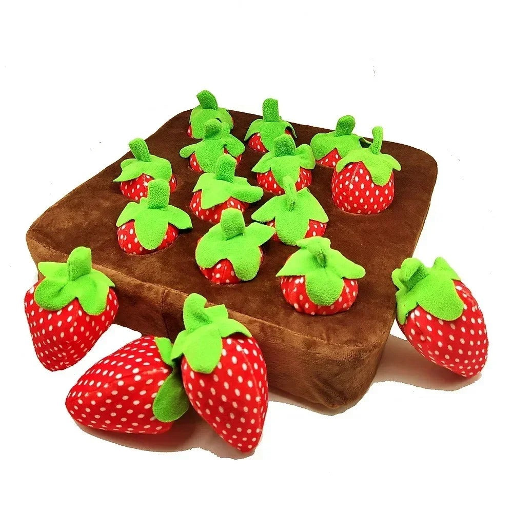 Strawberry/ Carrot Snuffle Mat – Interactive Puzzle Toy with Squeaker