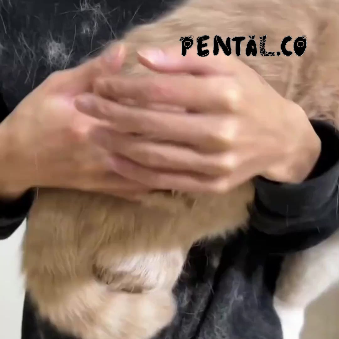 Pet Grooming Glove – Deshedding Brush for Dogs & Cats