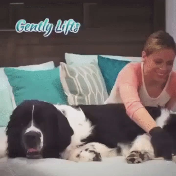 Pet grooming glove